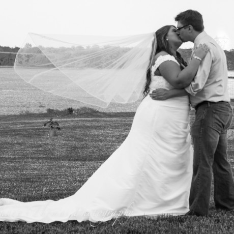 wedding photography veils black and white