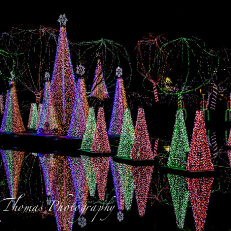 photo columbus zoo wild lights