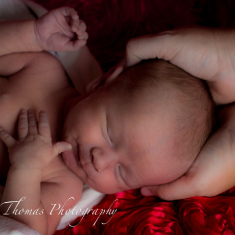 newborn baby photo