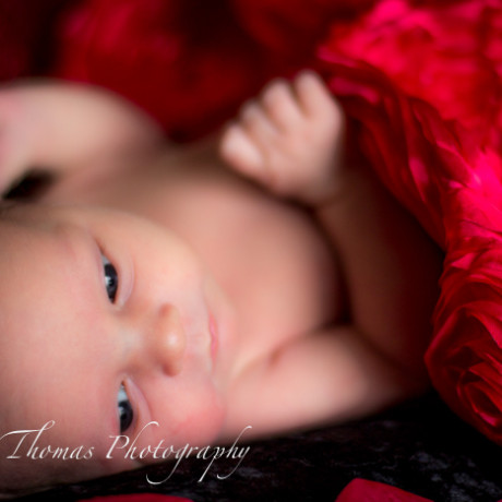 photo newborn baby