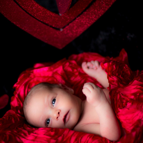 photo newborn baby valentines day