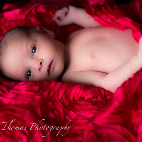 photo newborn baby valentines day