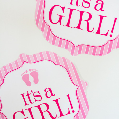 photo baby shower twins